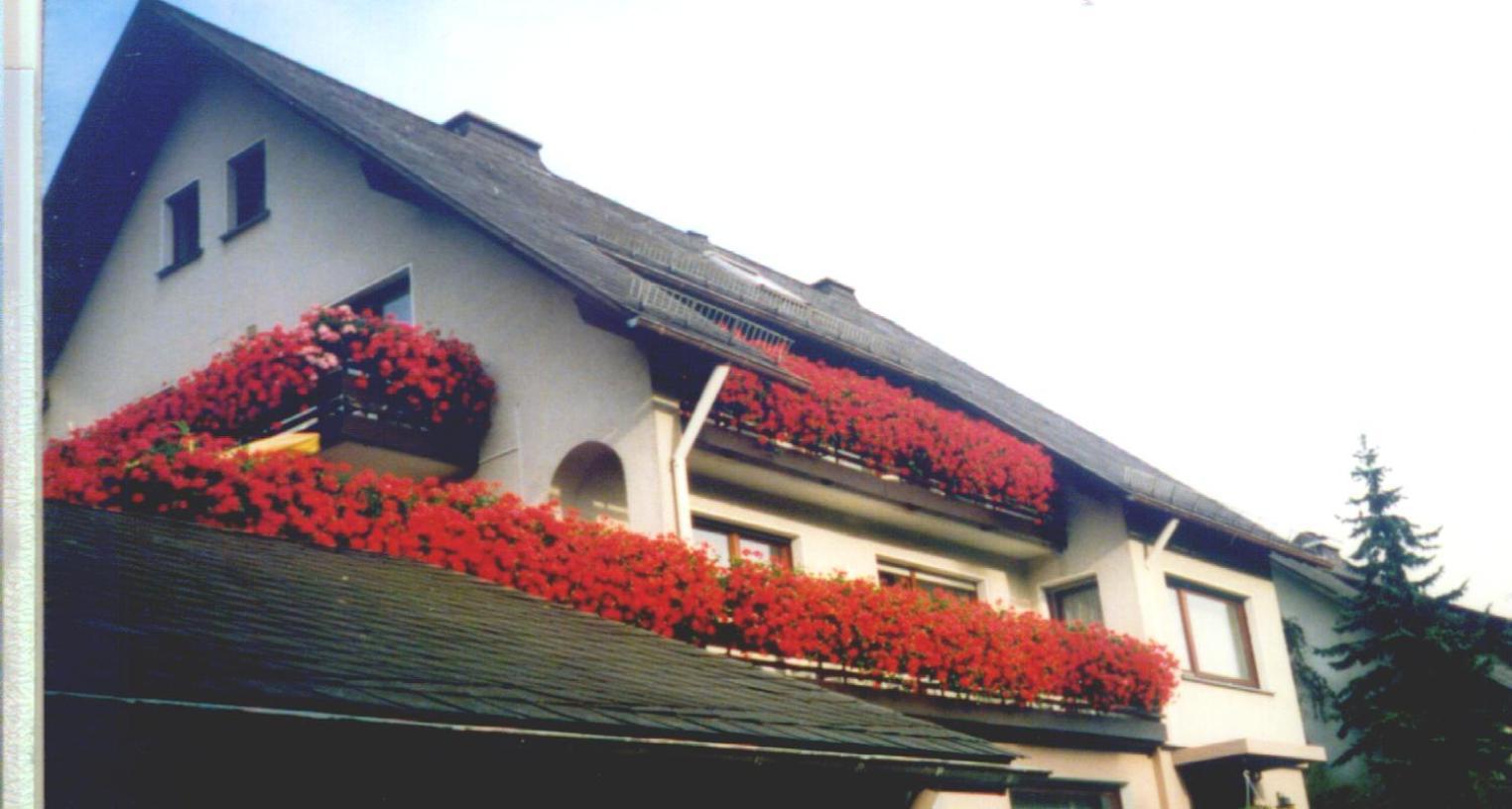מלון ווינטרברג Haus Hubertus מראה חיצוני תמונה